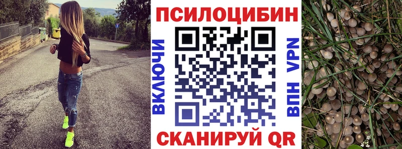 Псилоцибиновые грибы Magic Shrooms  где найти   Стерлитамак 